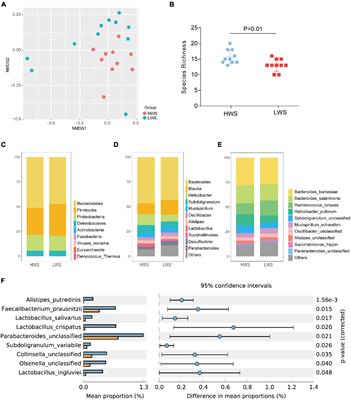 Dynamics of Small Non-coding RNA Profiles and the Intestinal Microbiome of High and Low Weight Chickens